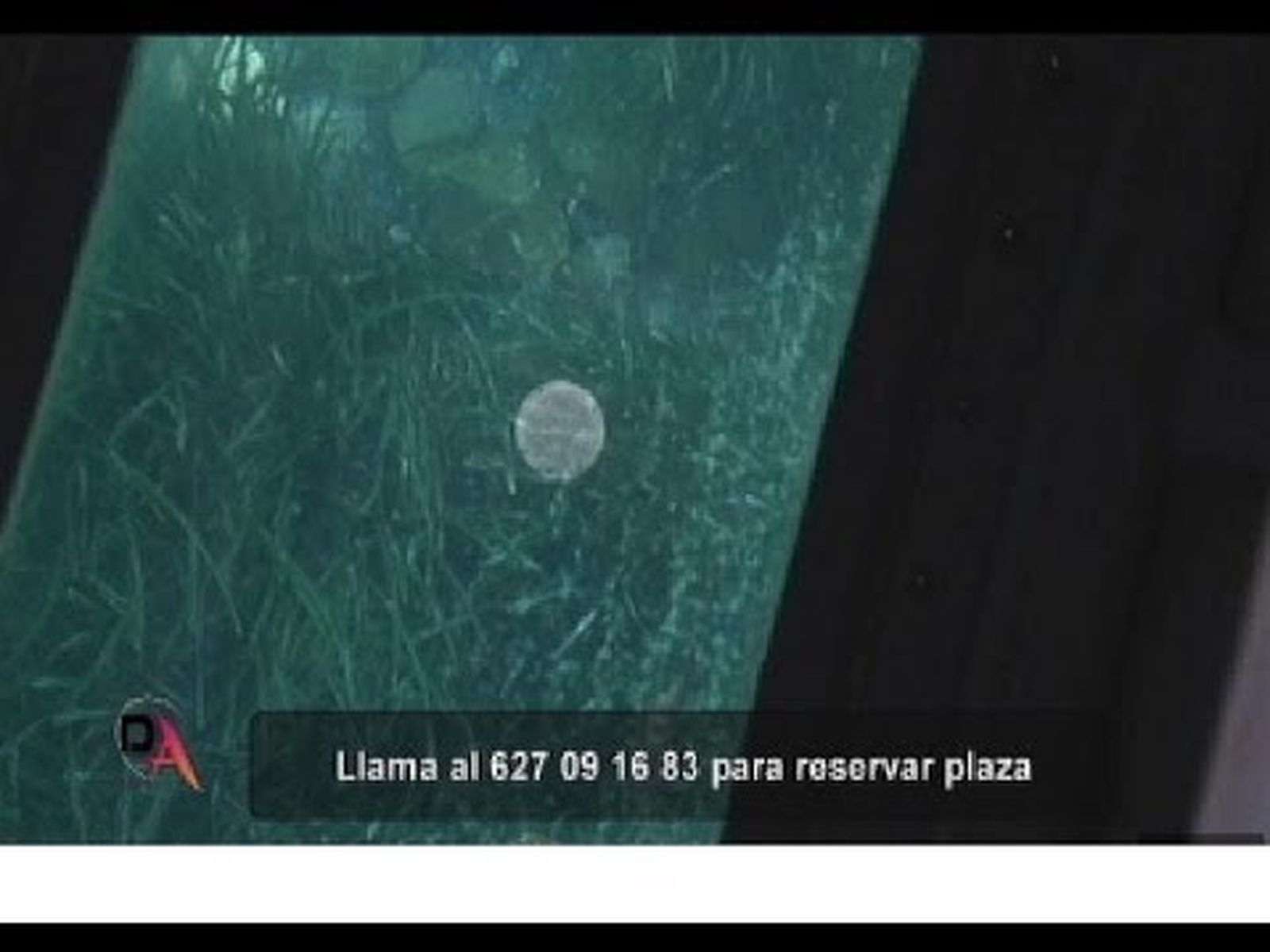 Praderas de posidonia en Almería