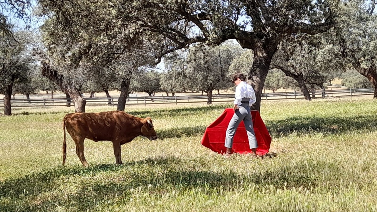 Toros para todos 05/06/22