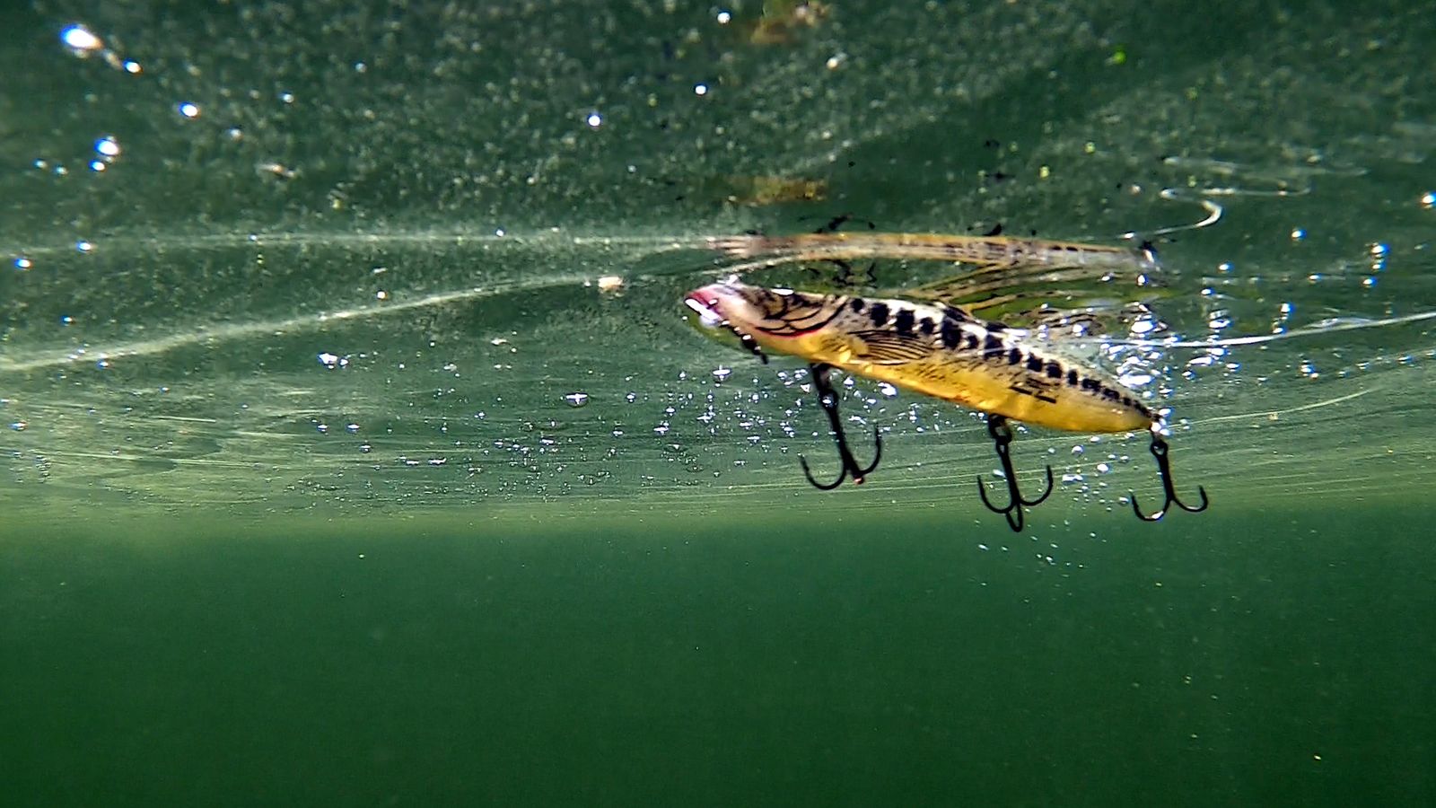 "Lances", pesca del black-bass