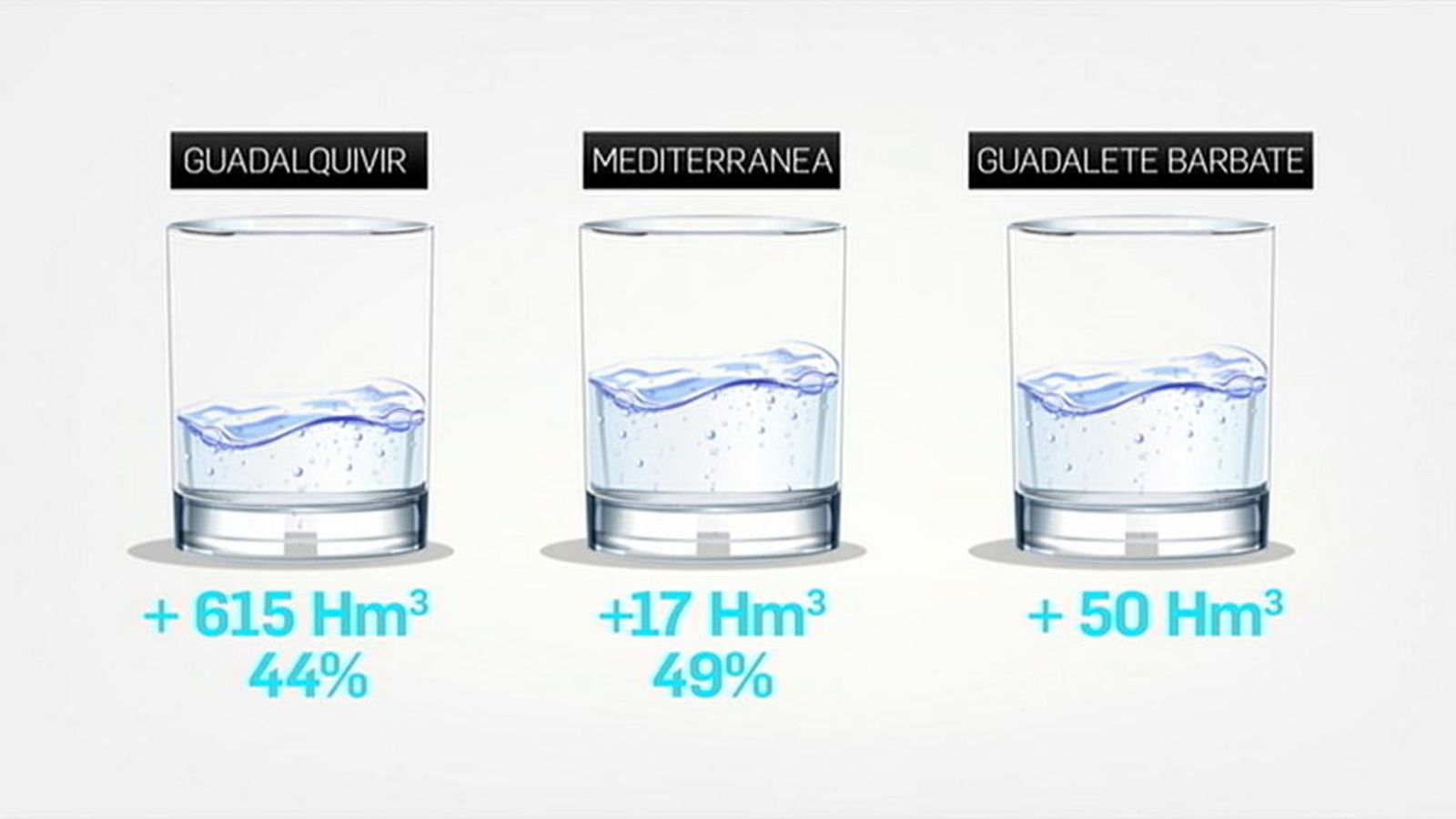 Pantanos crecimiento