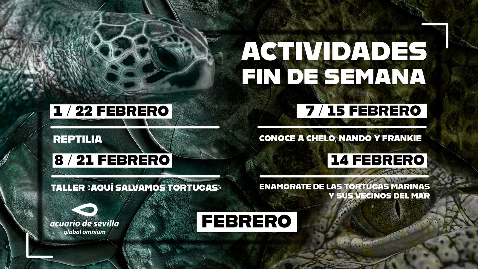 acuario de sevilla la banda