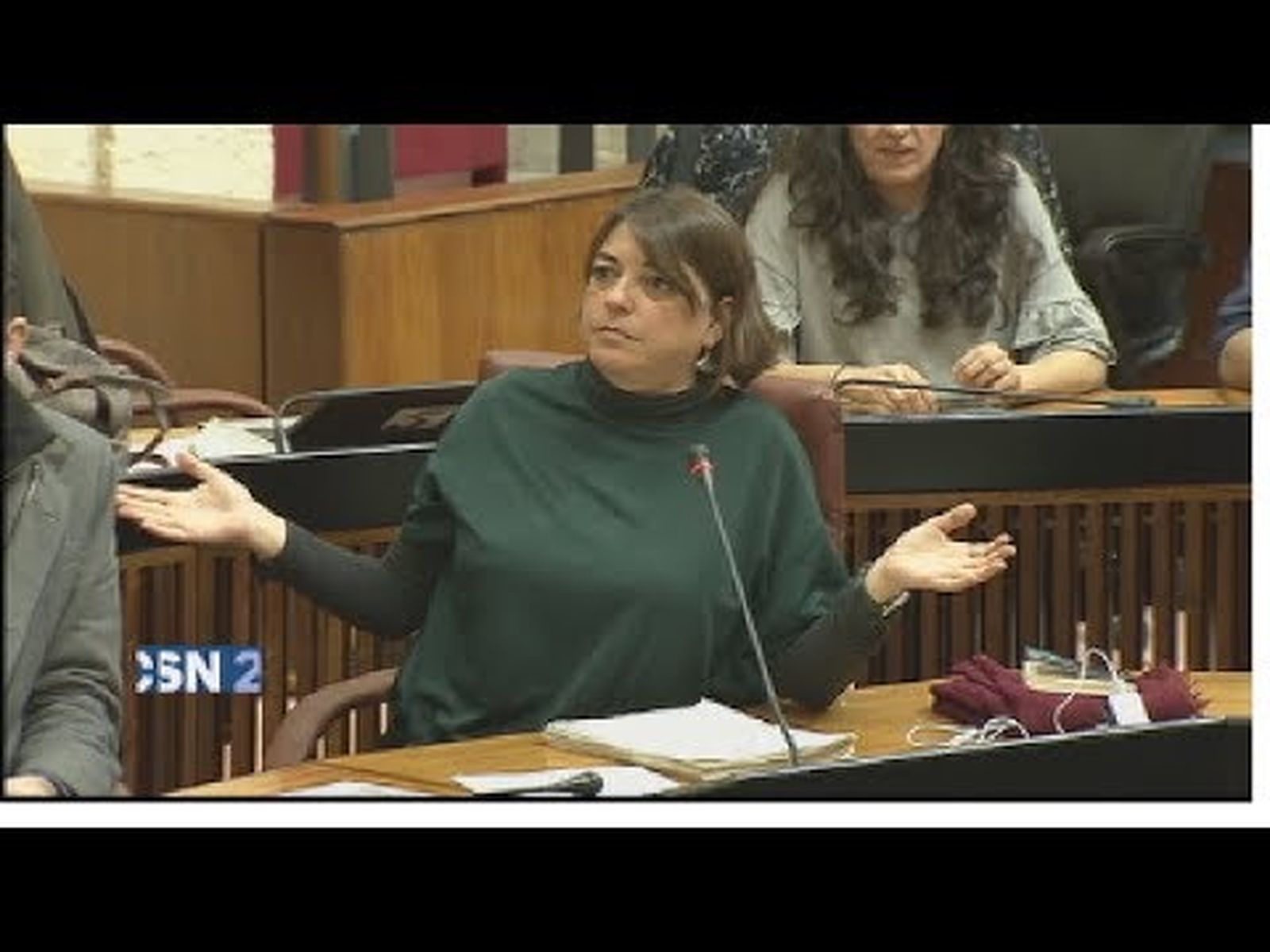 Caso Cursos de Formación: Dictamen de la Comisión de Investigación