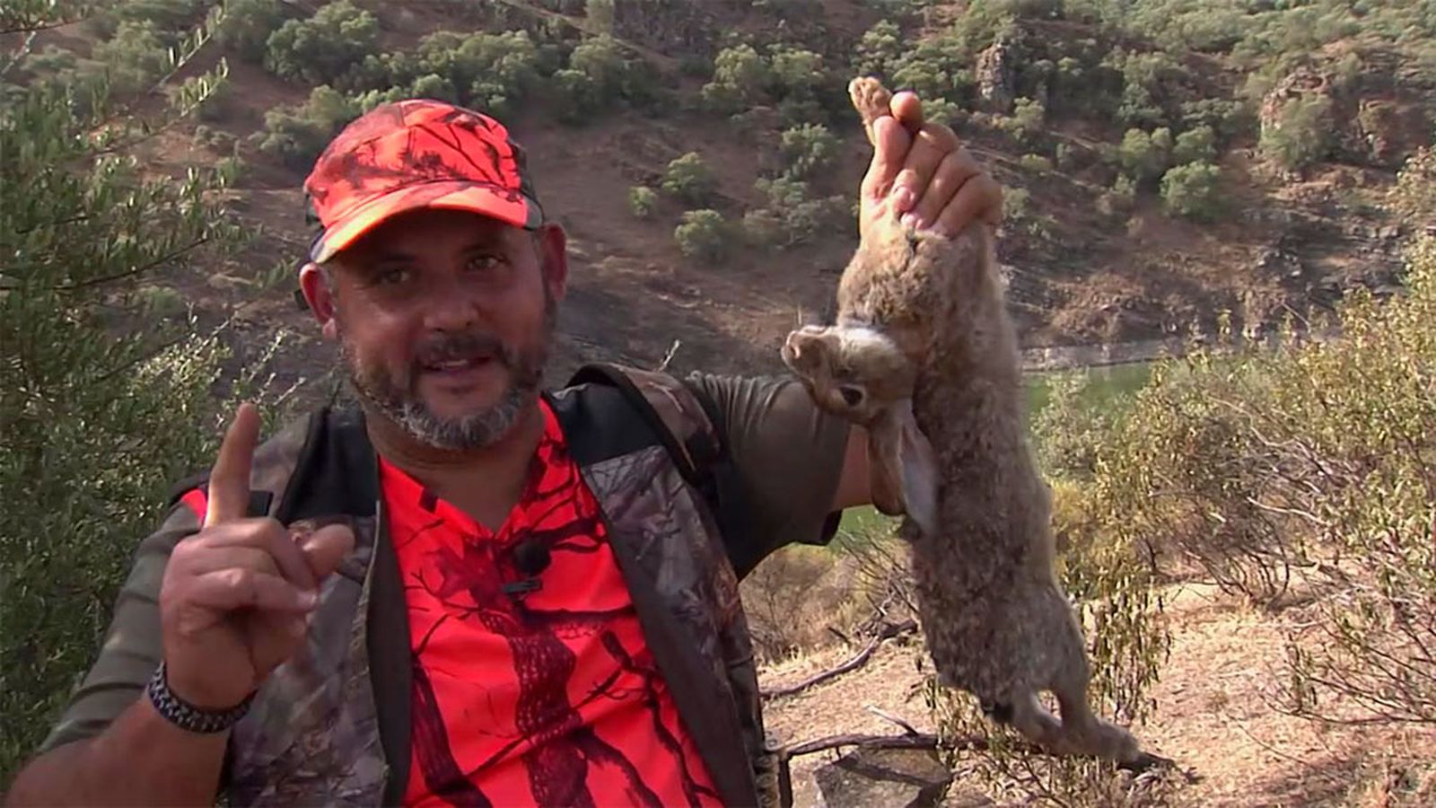 La caza de conejos en mano y desde puesto fijo