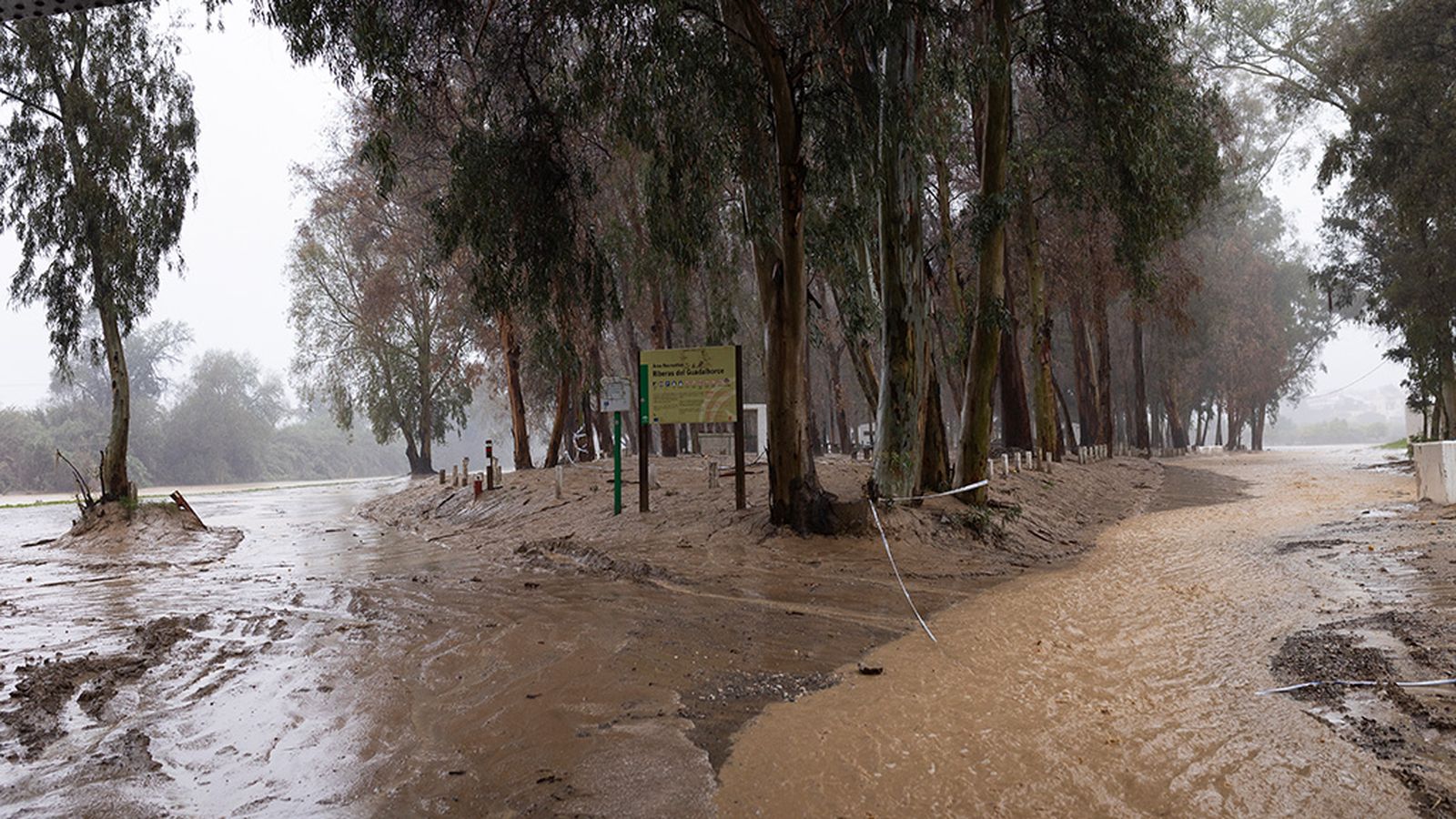 LLuvia Málaga