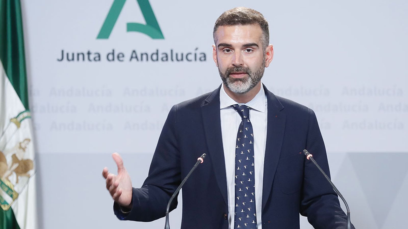 Ramón Fernández Pacheco, portavoz del Gobierno