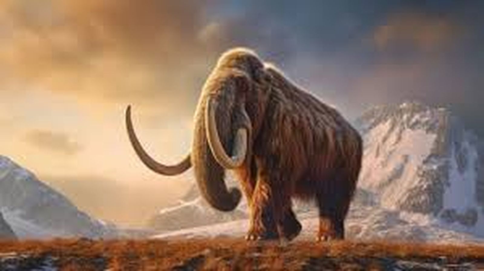 mamut