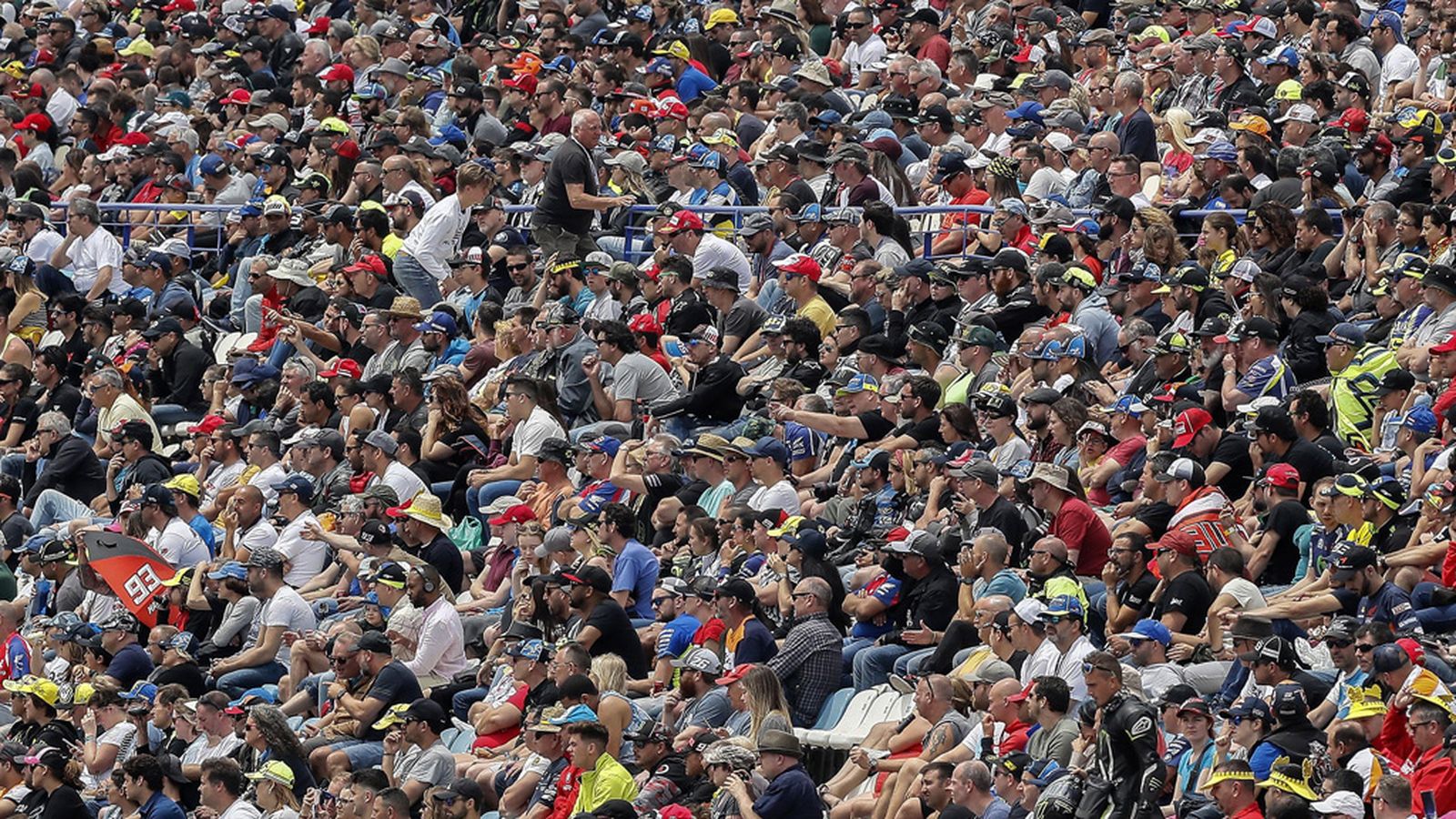 aficionados