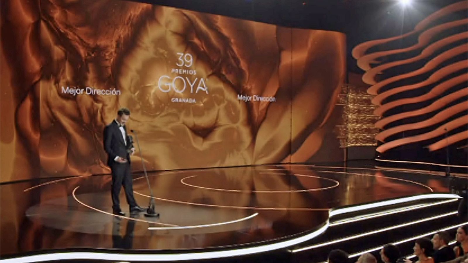 GOYA MEJOR DIRECCIÓN