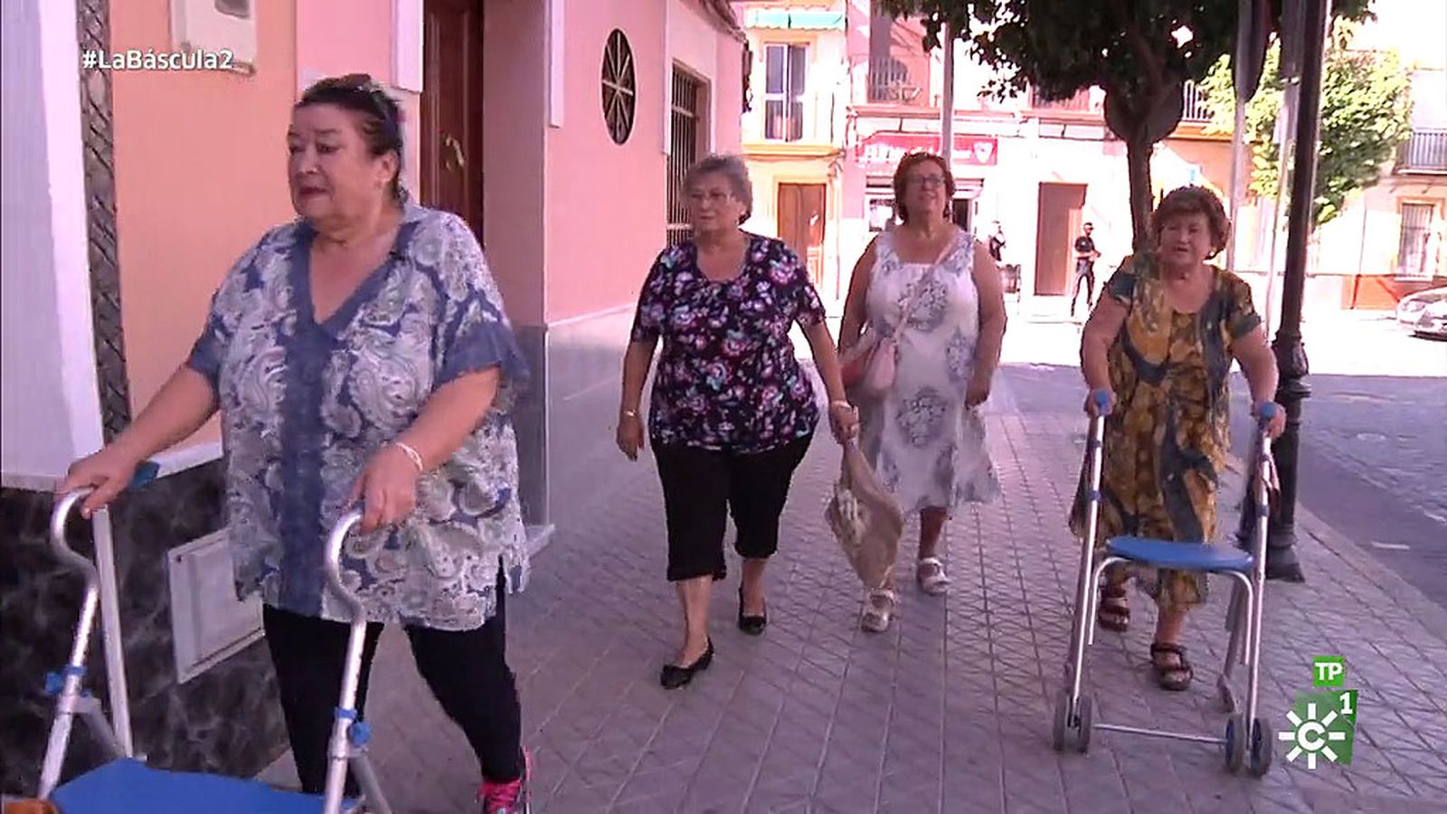 tapa bascula las yayas