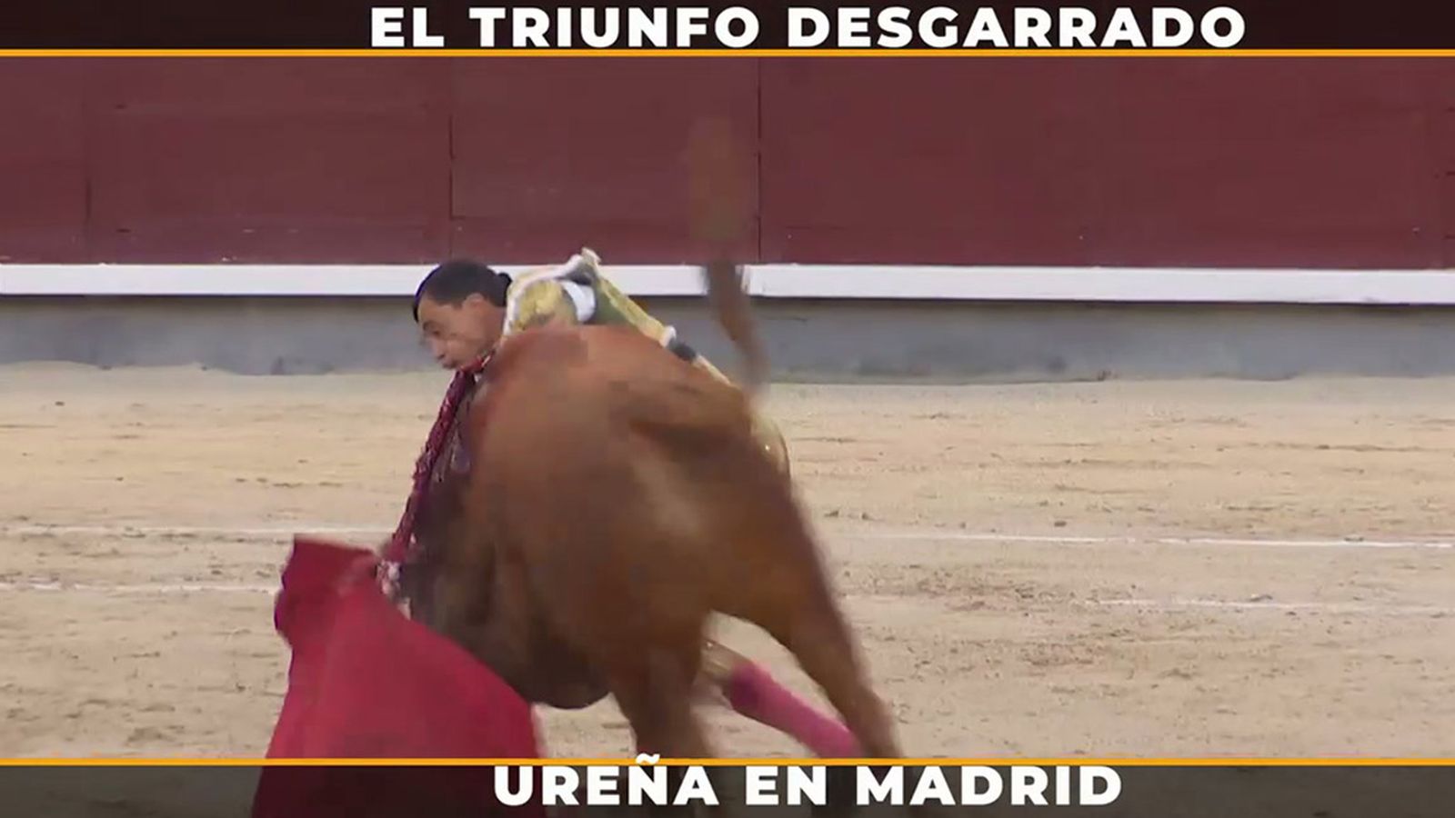 Paco Ureña, triunfador en Madrid toreando con una clavícula rota