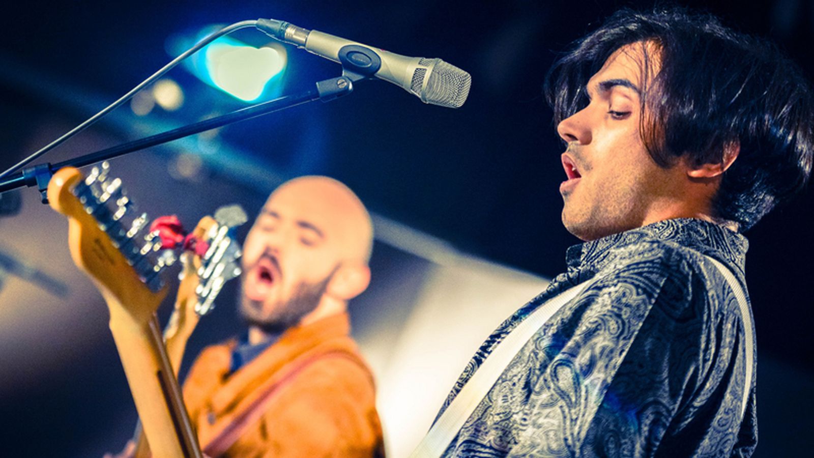 al sur conciertos sheperd
