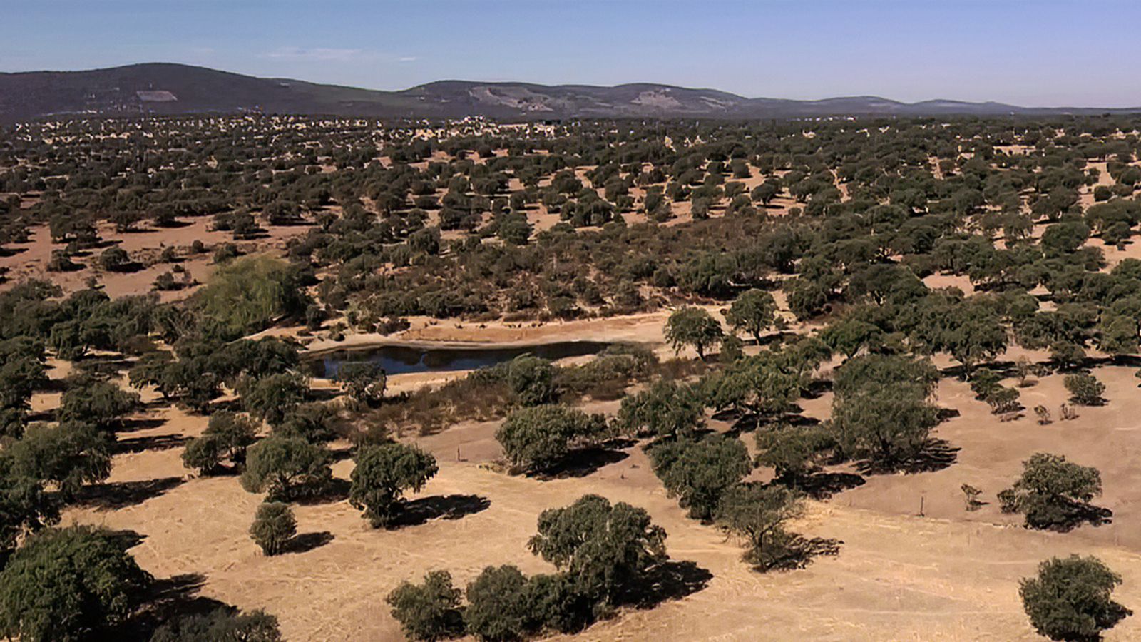 El calor, cada vez más intenso, condiciona el arranque de la temporada cinegética