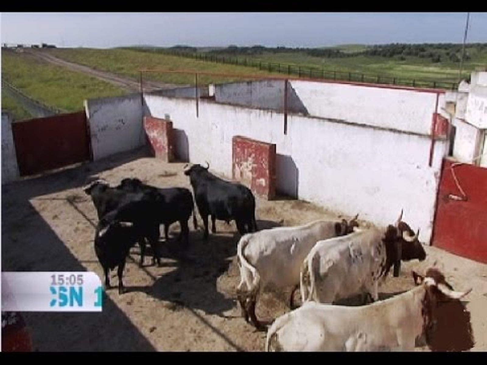 La ganadería Fermín Bohórquez en Fuente Rey