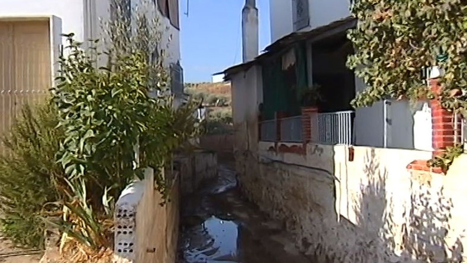monturque