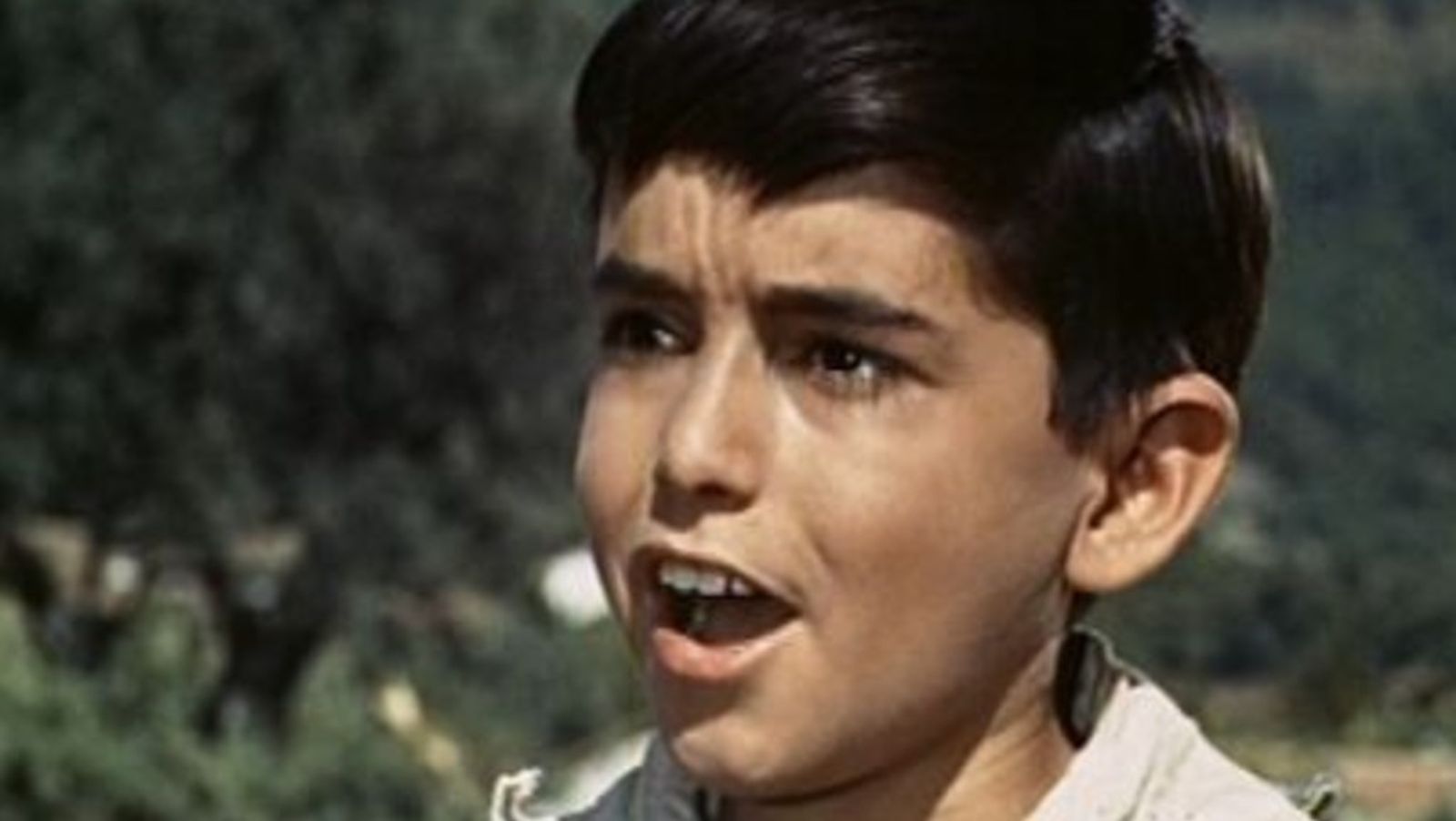 Cine el pequeño coronel