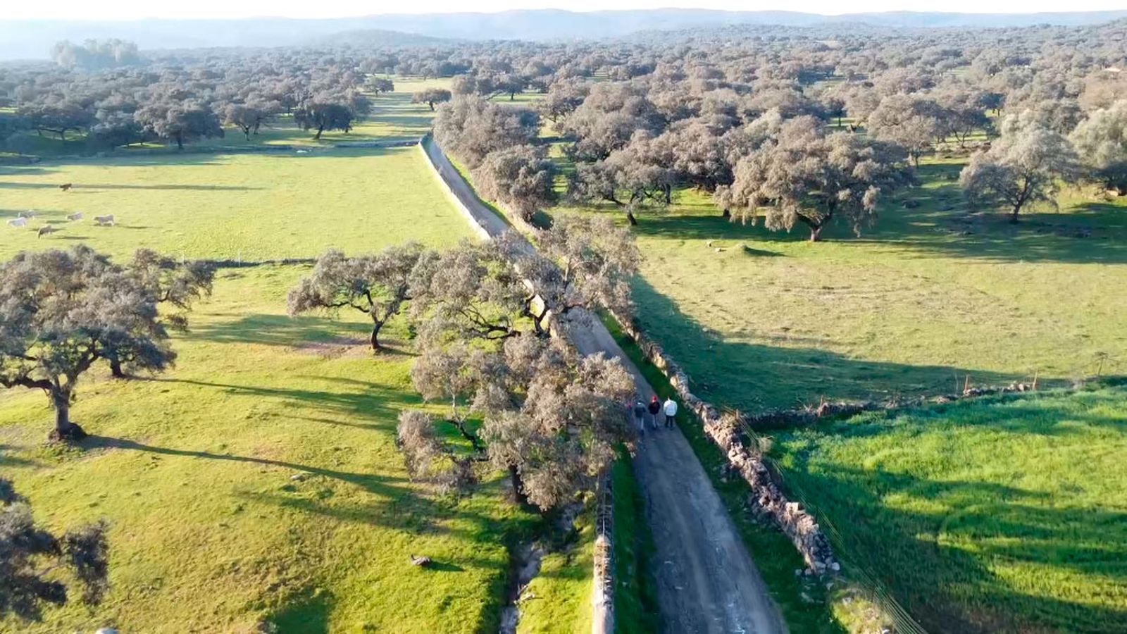 Camino del Batrocal, una ruta circular para disfrutar del senderismo en Sevilla