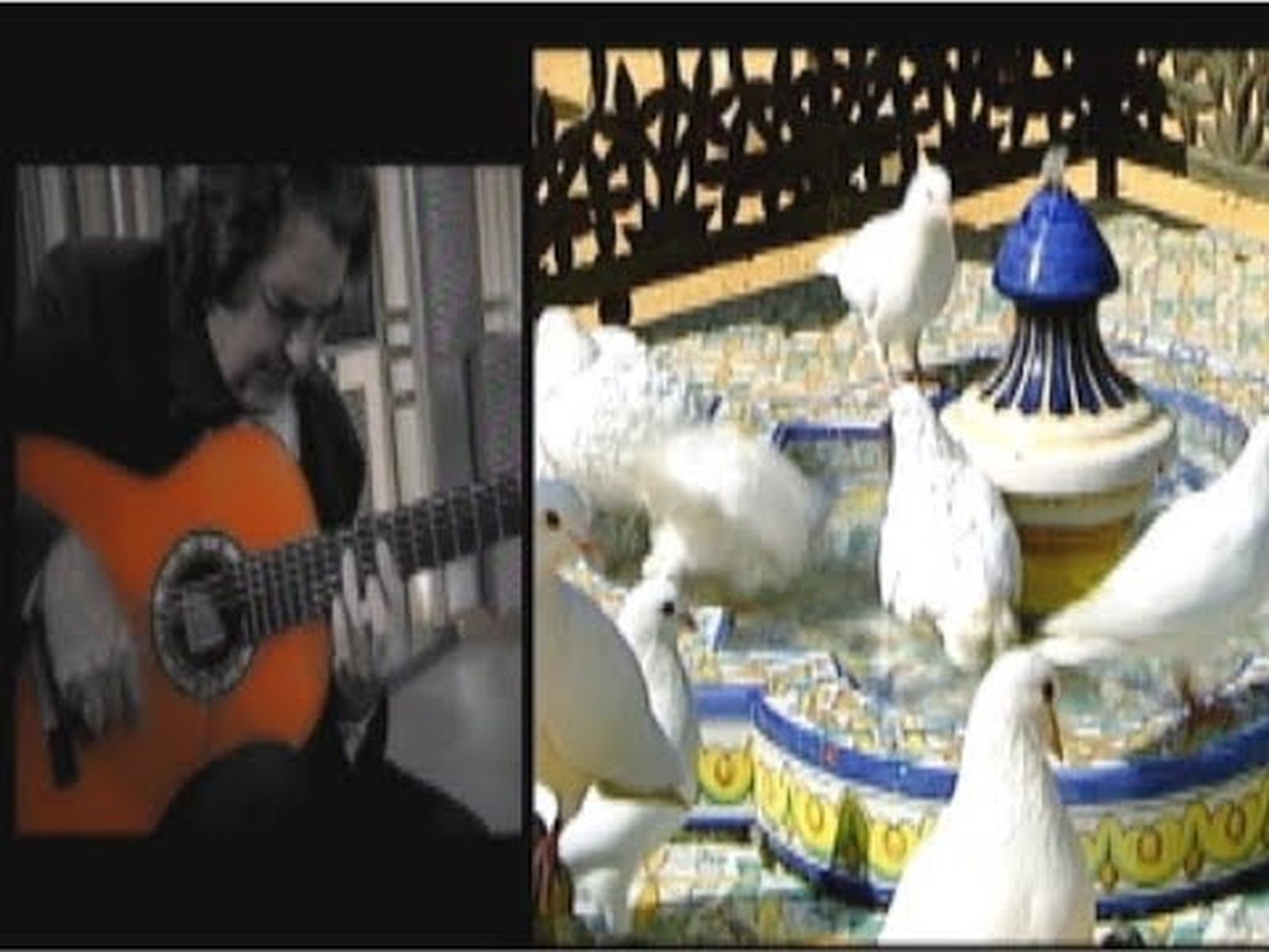 Rafael Riqueni, guitarrista, “Cogiendo Rosas" de "Parque de María Luisa" | Flamenco en Canal Sur