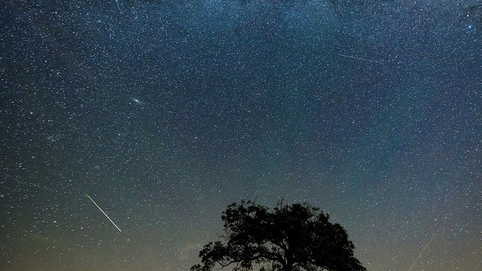 perseidas