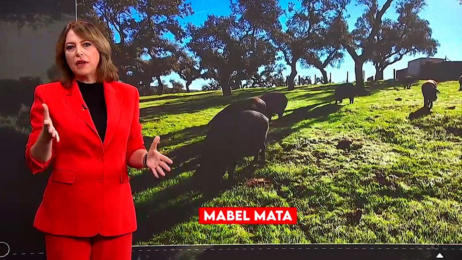 Los Reporteros sobre la guerra del jamón