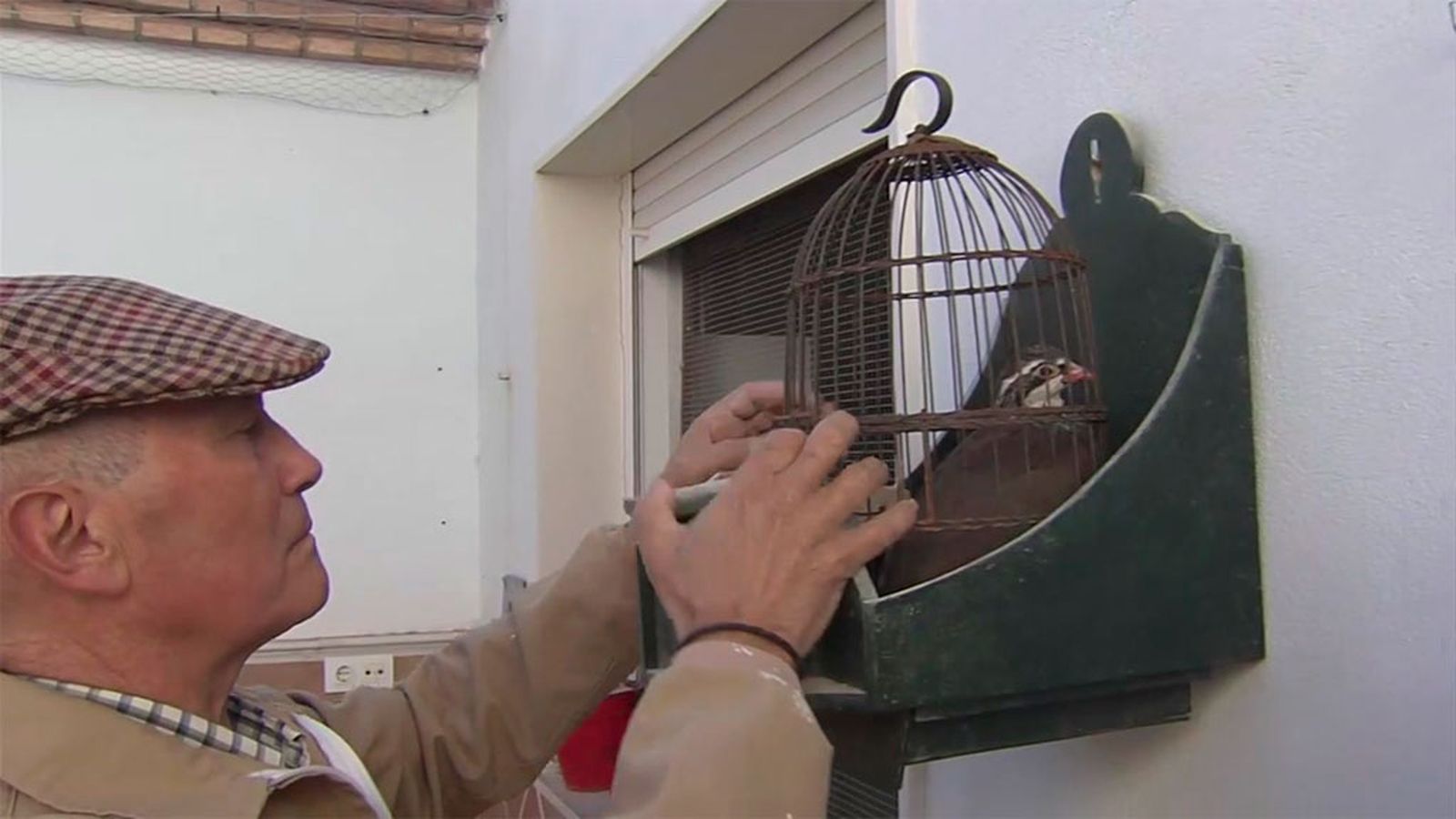 El lenguaje de los cuquilleros...o cazadores de perdiz con reclamo