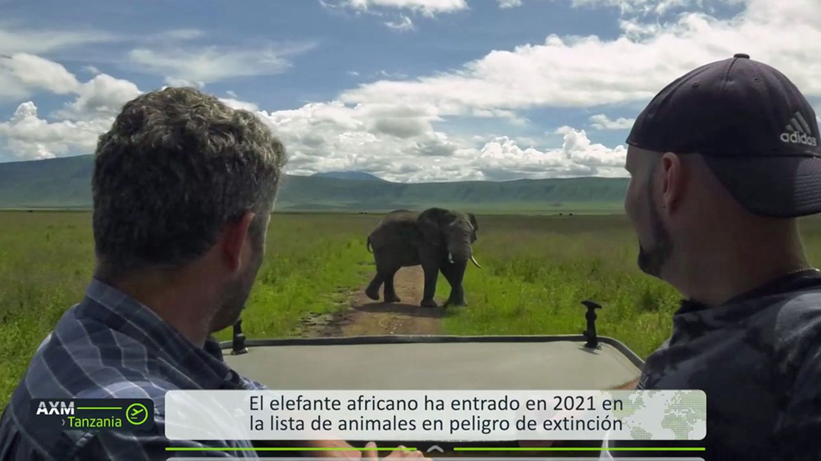 Andalucía x el mundo Mario Martos safari