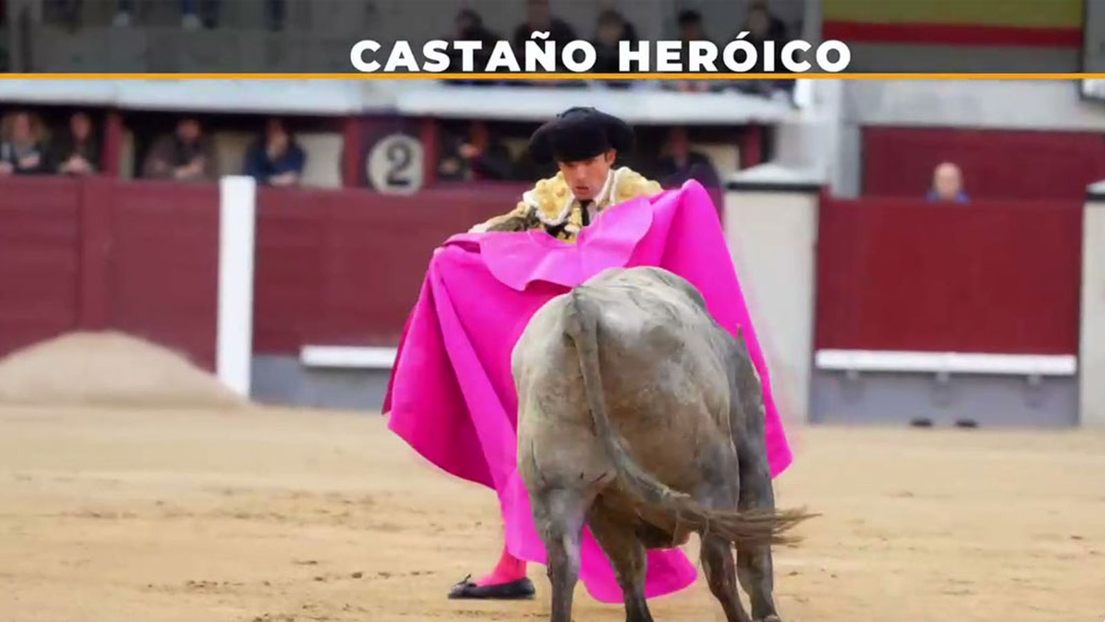 Heróica actuación de Damián Castaño en las Ventas