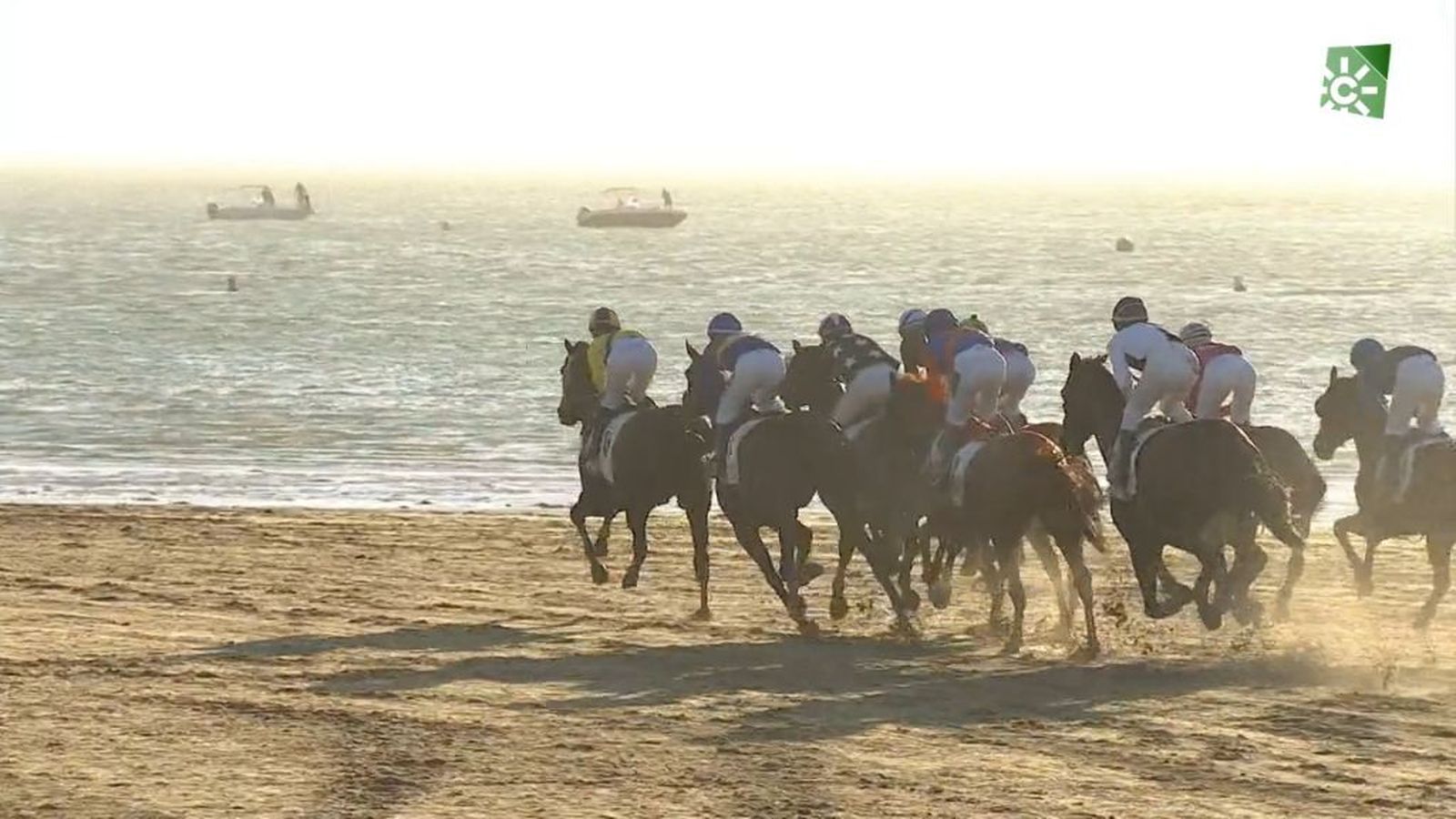 carreras caballos sanlucar 08/0/2021 TV Carta