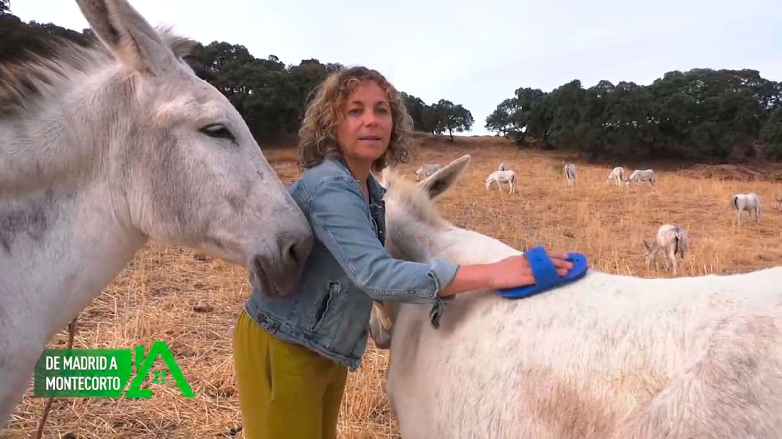 En Montecorto desarrolla terapias con burros para ayudar a personas con problemas