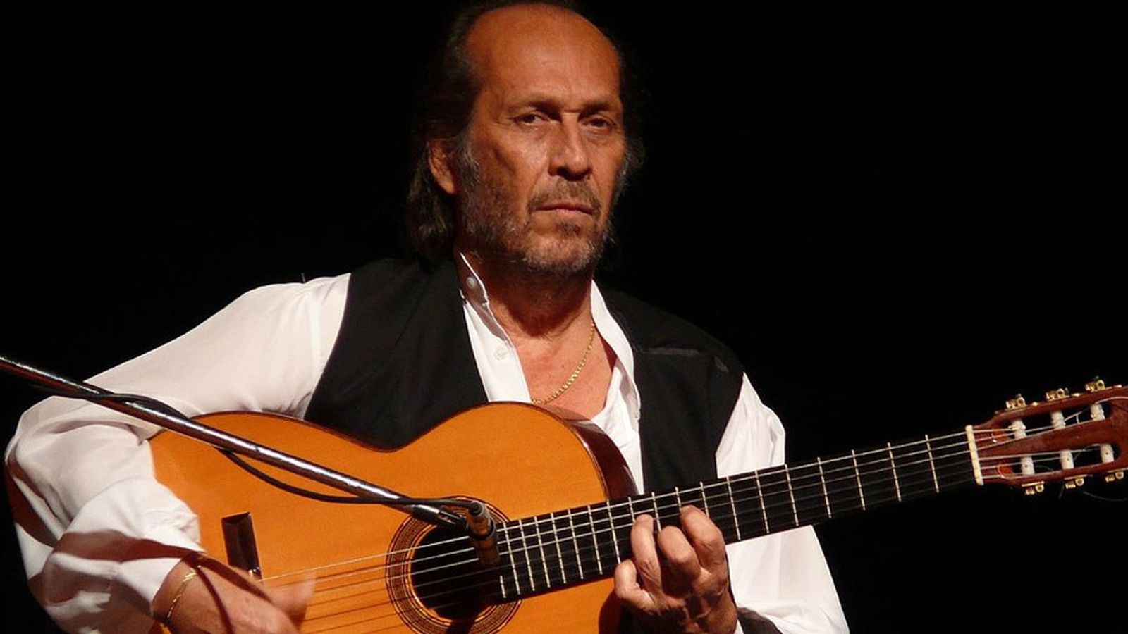 LO FLAMENCO OK BUENO COMUNICACIÓN FOTO BUENA
