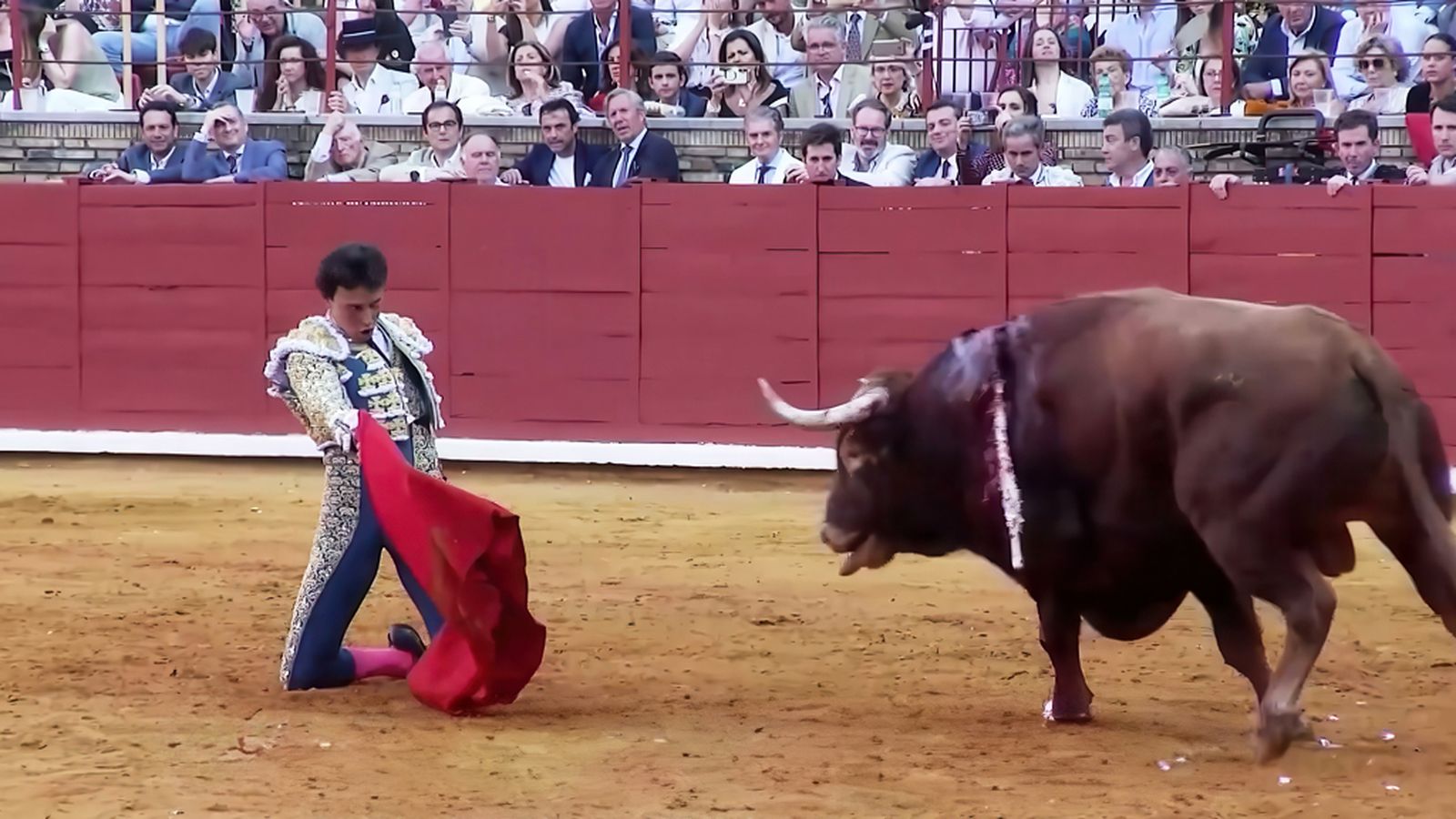 Toros para todos 1024x576 Roca rey
