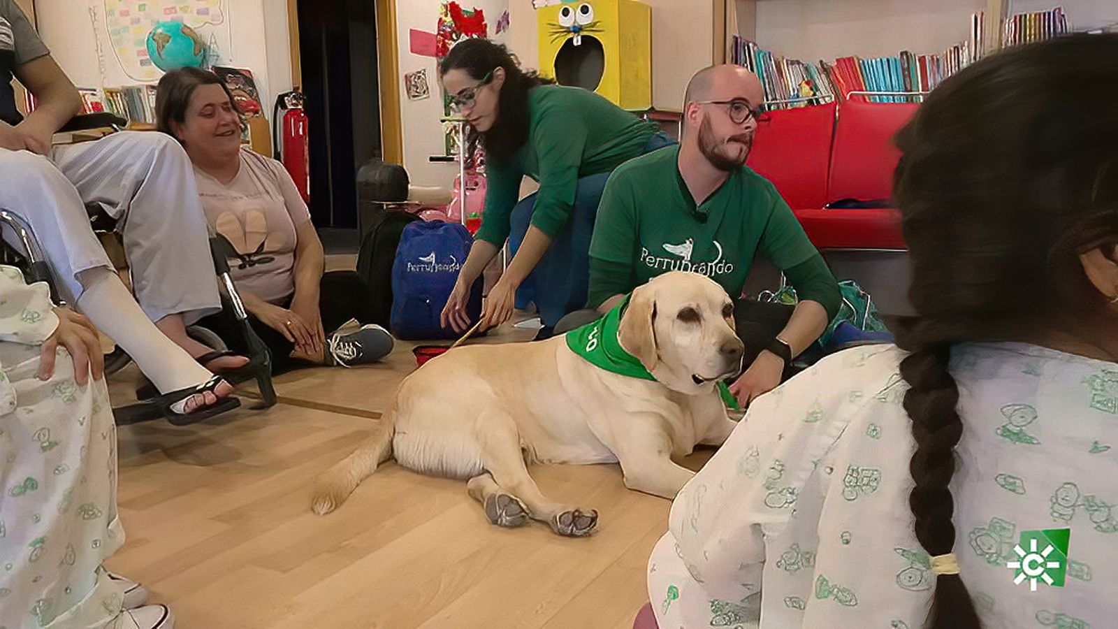 Bourbon, el perrito que acompaña a los más pequeños en el Hospital Reina Sofía de Córdoba