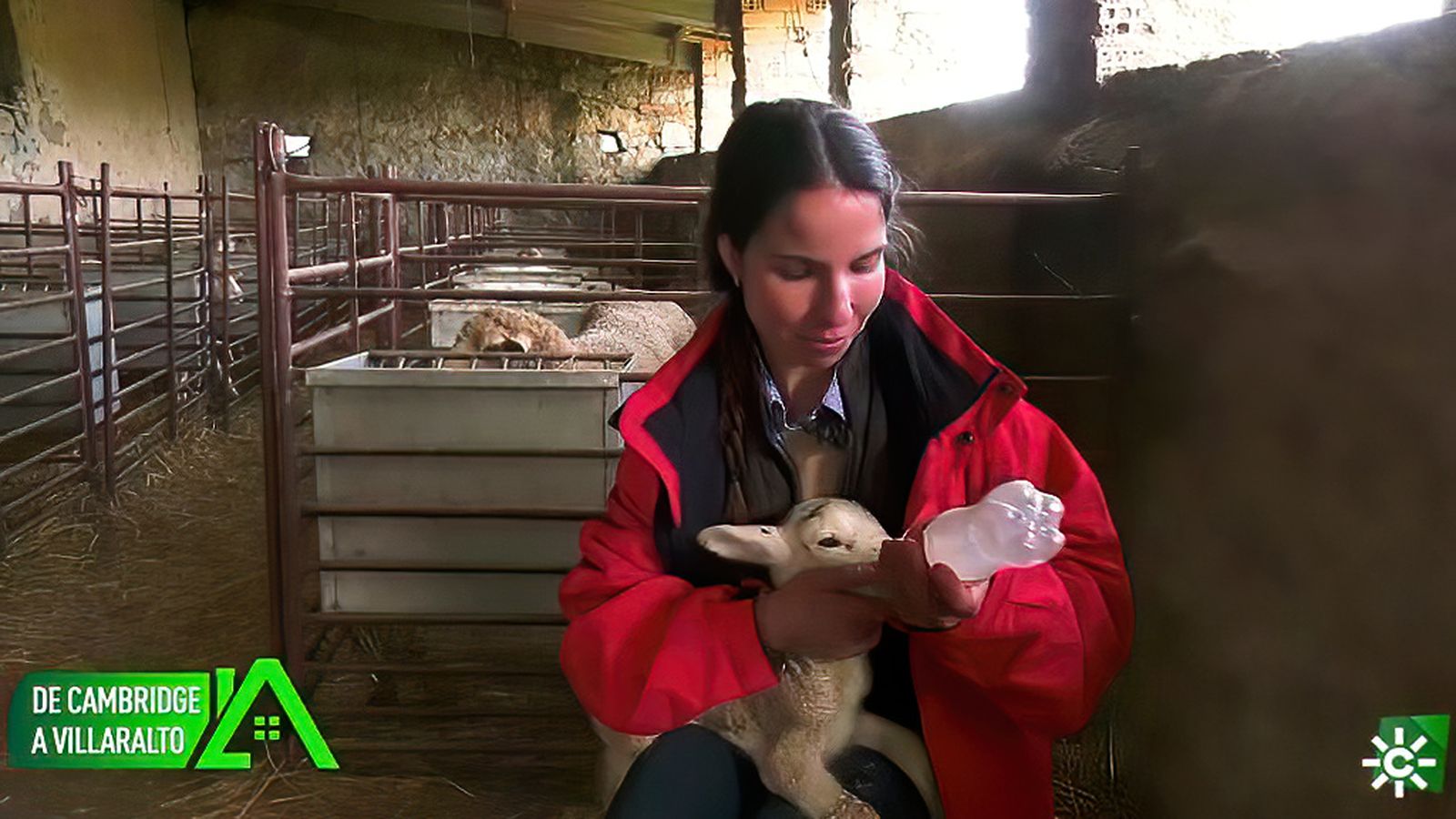 Estudió Veterinaria y se mudó a Cambridge pero regresó a Villaralto, el pueblo de sus abuelos