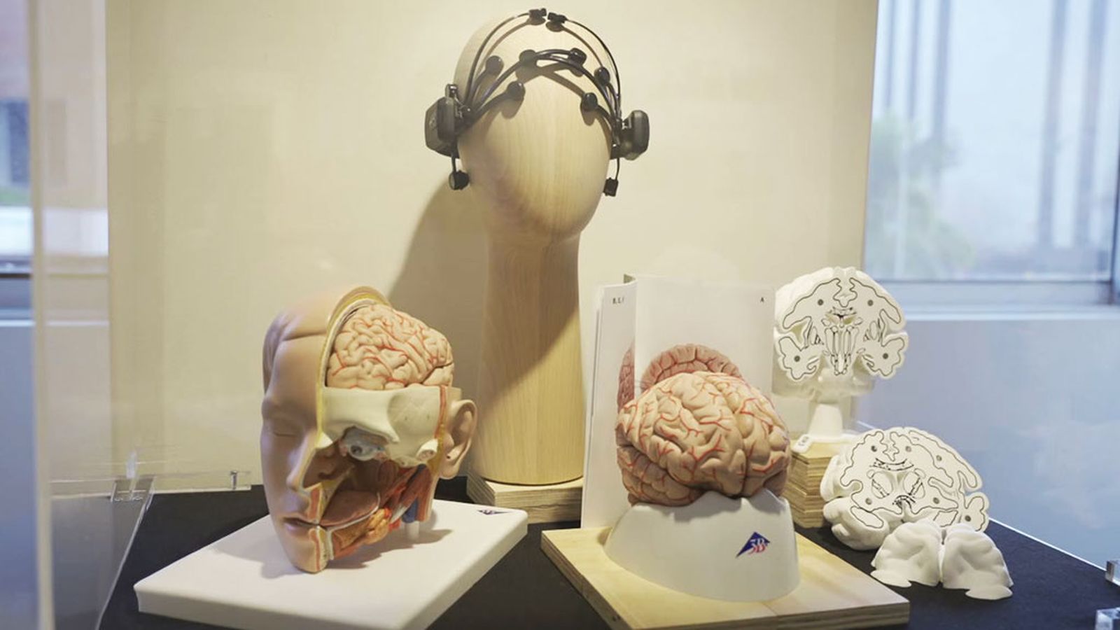 Arte y ciencia para entender el cerebro