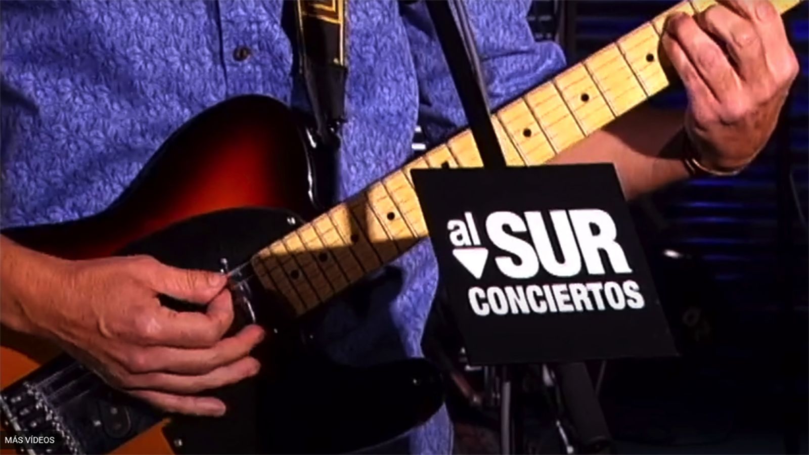 Al Sur Concierto EL Niño Erizo