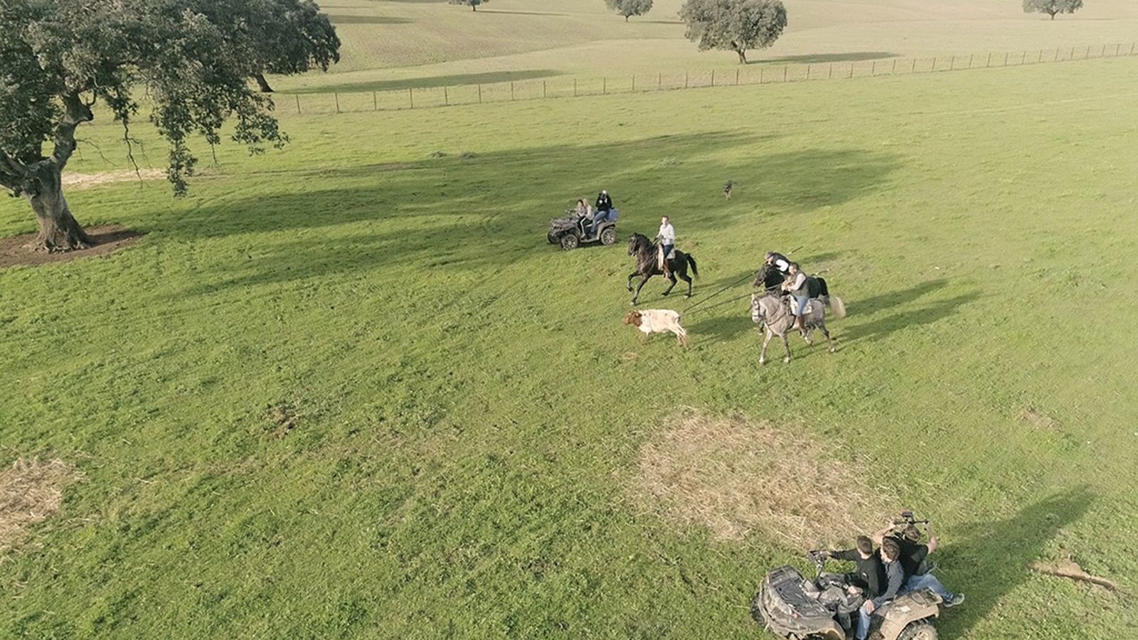 Todo caballo, 30 diciembre (comu)