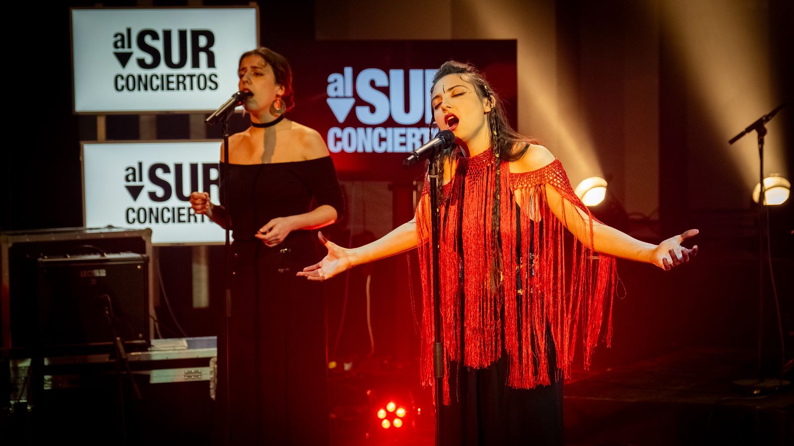 COMUNICACIÓN AL SUR CONCIERTOS