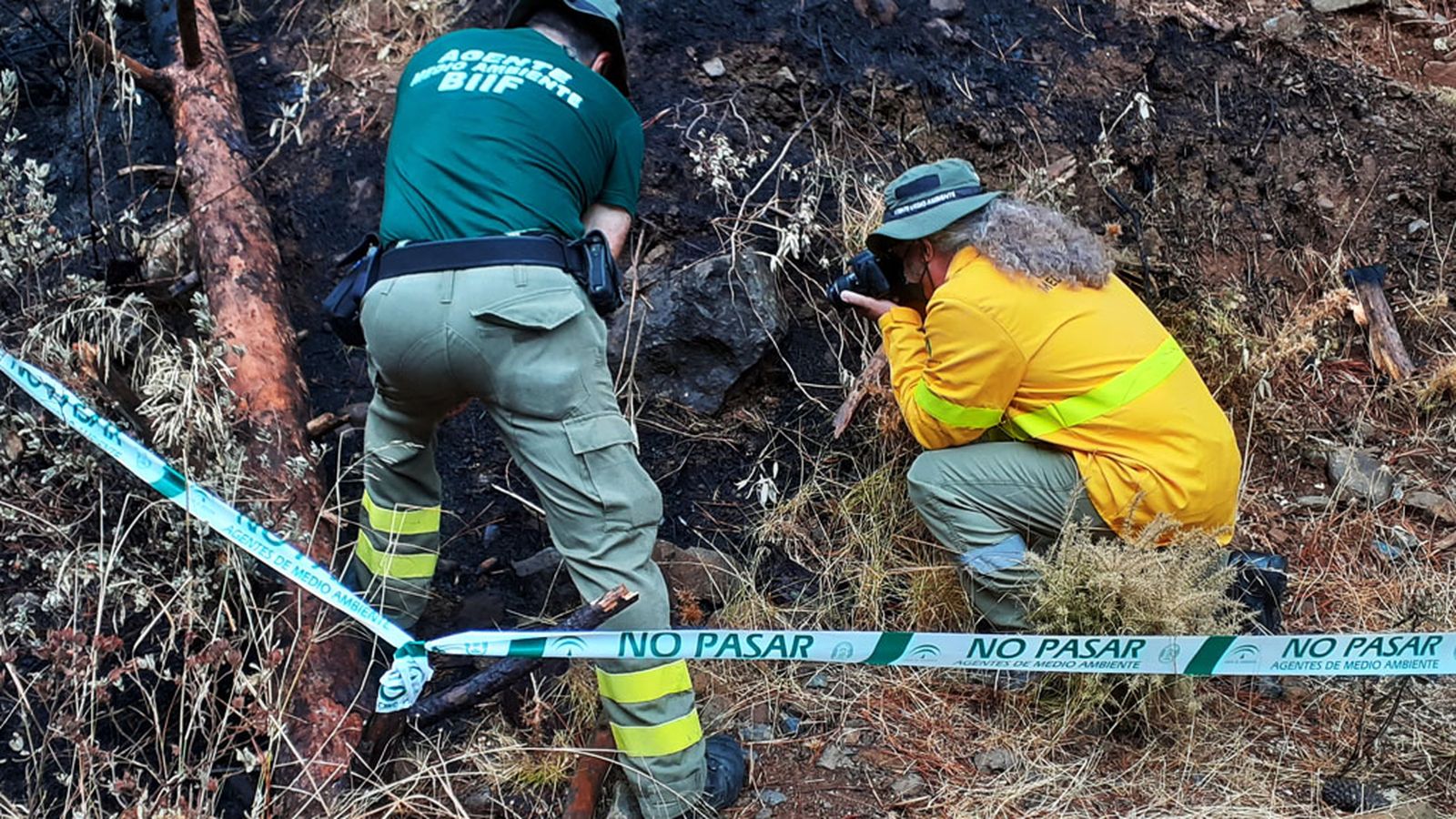 Buscan al culpable del incendio