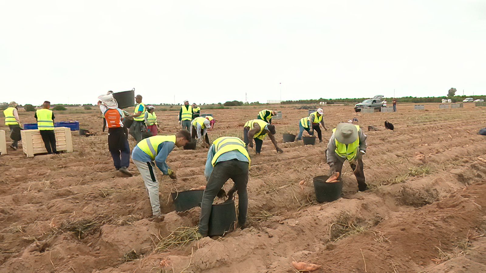 El creciente interés por la agricultura y ganadería ecológicas