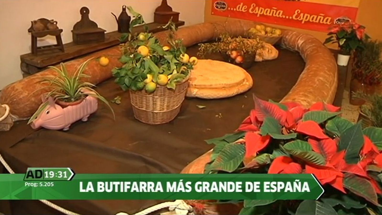 tapa butifarra