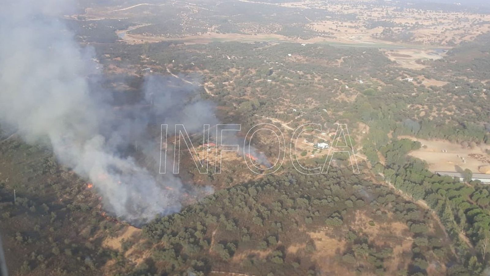 incendio forestal ronquillo 1024