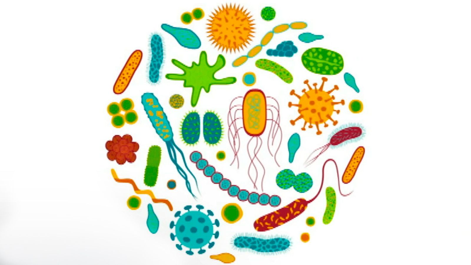 La microbiota y su relación con la obesidad