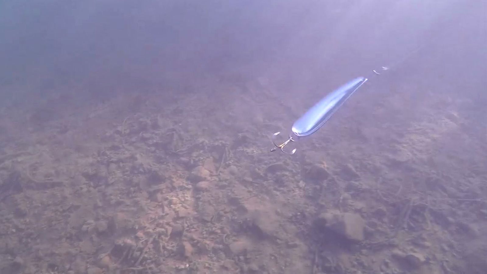 Ventajas e inconvenientes de la pesca con el calzador o cucharilla ondulante