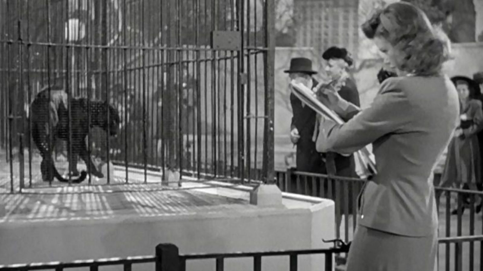 Comunicación Cine La mujer pantera