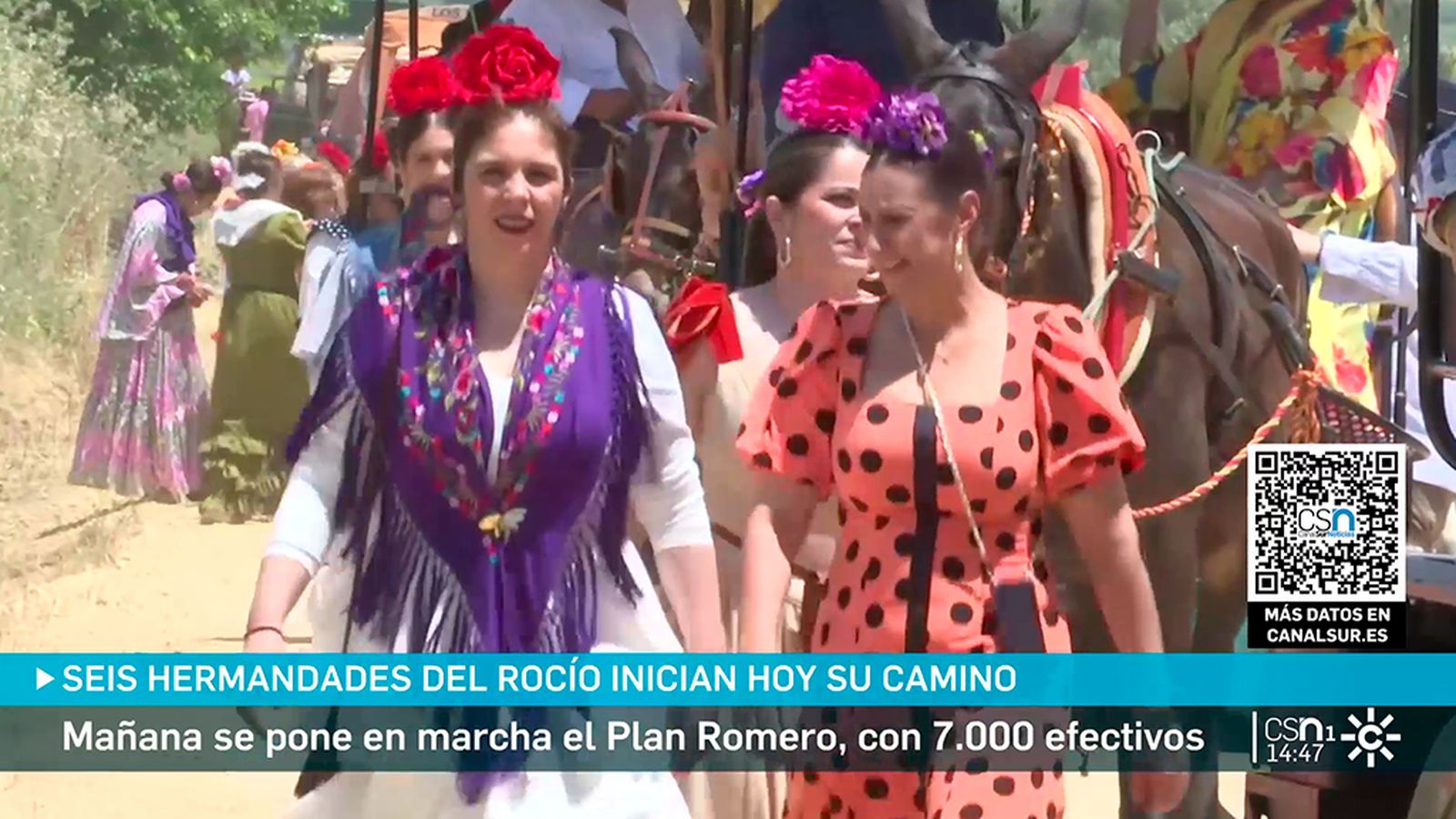 Seis hermandades salen camino de el rocío