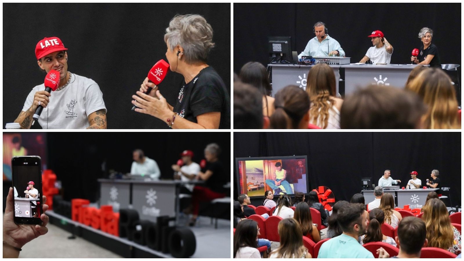 Collage Álvaro de Luna