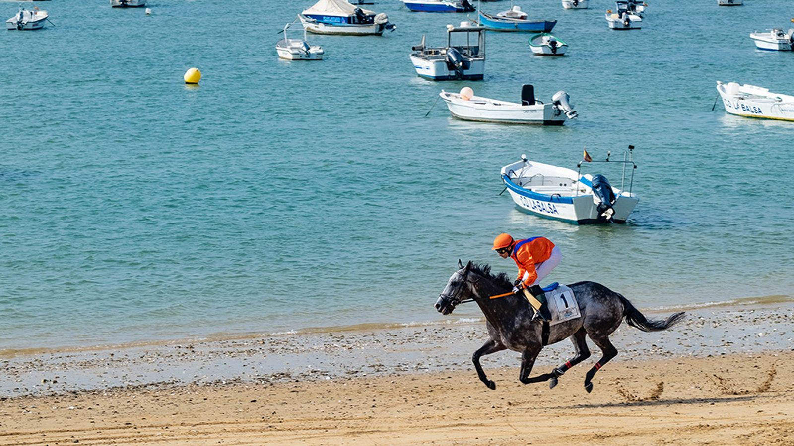 Carreras de Caballos de Sanlúcar