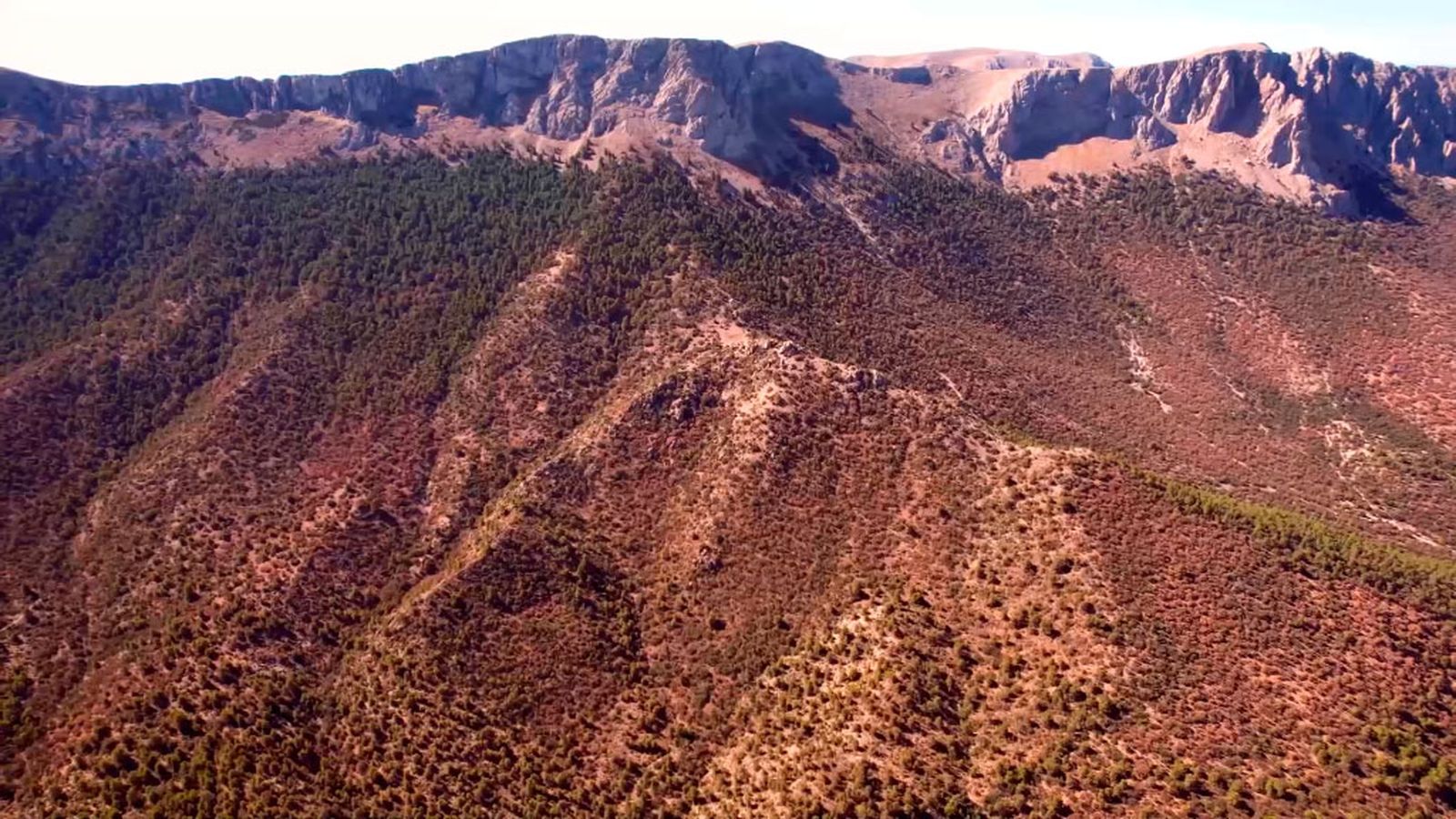 La sequía pone en jaque el Parque Natural Sierra María-Los Vélez