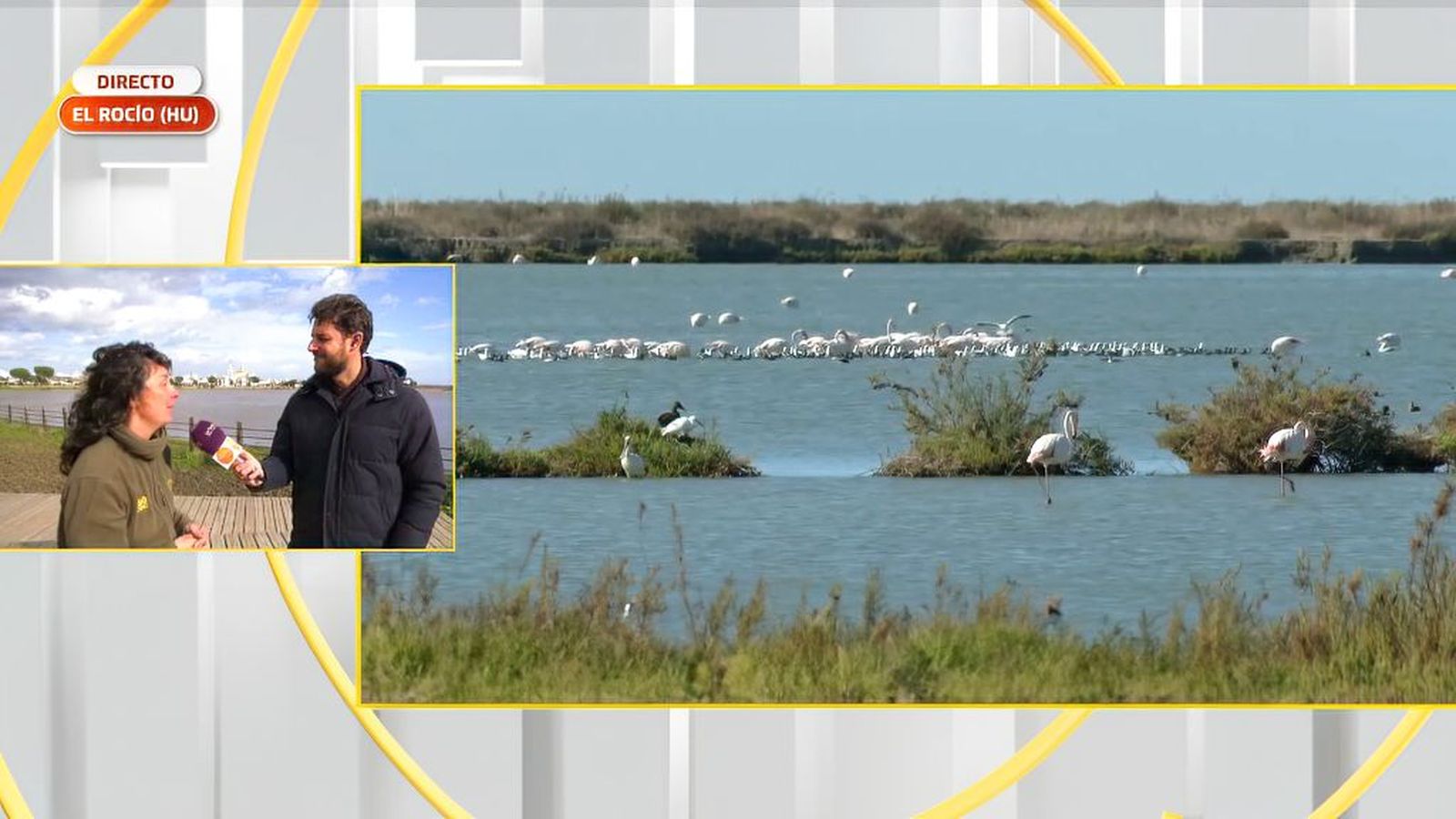 Doñana, epicentro del Día Mundial de los Humedales: el mayor santuario de biodiversidad de Europa