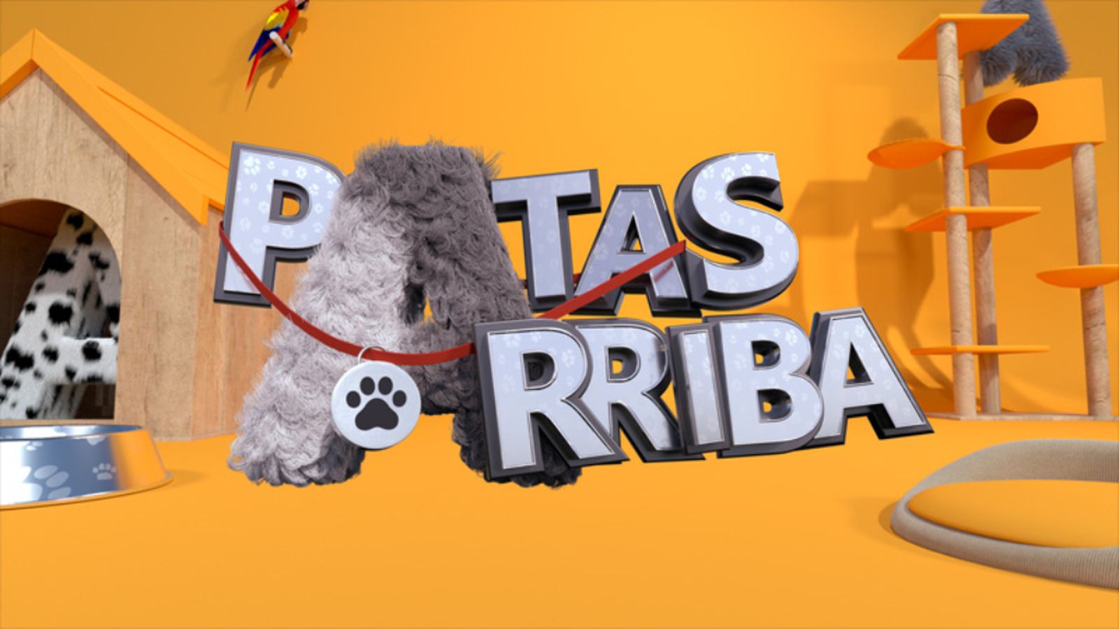 Patas arriba, 5 octubre