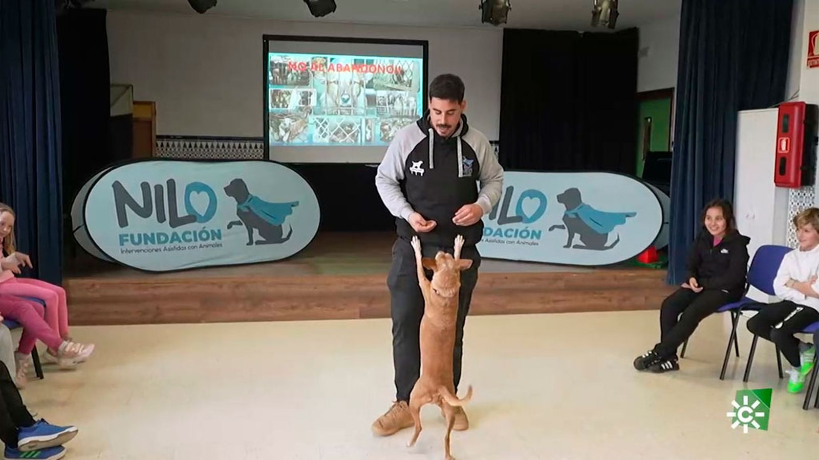 Talleres enfocados en el cuidado y el respeto de los animales de compañía para los más pequeños